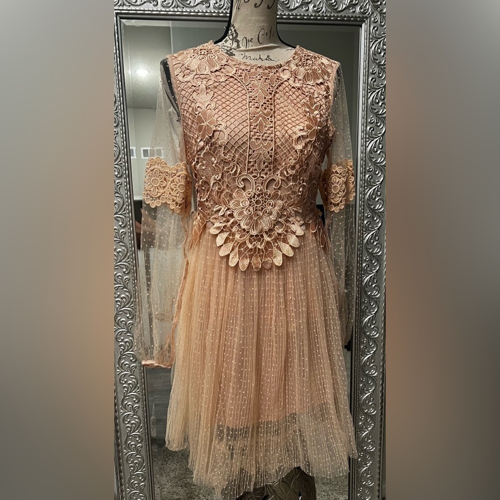 True Decadence Embroidery Polka dot Dress